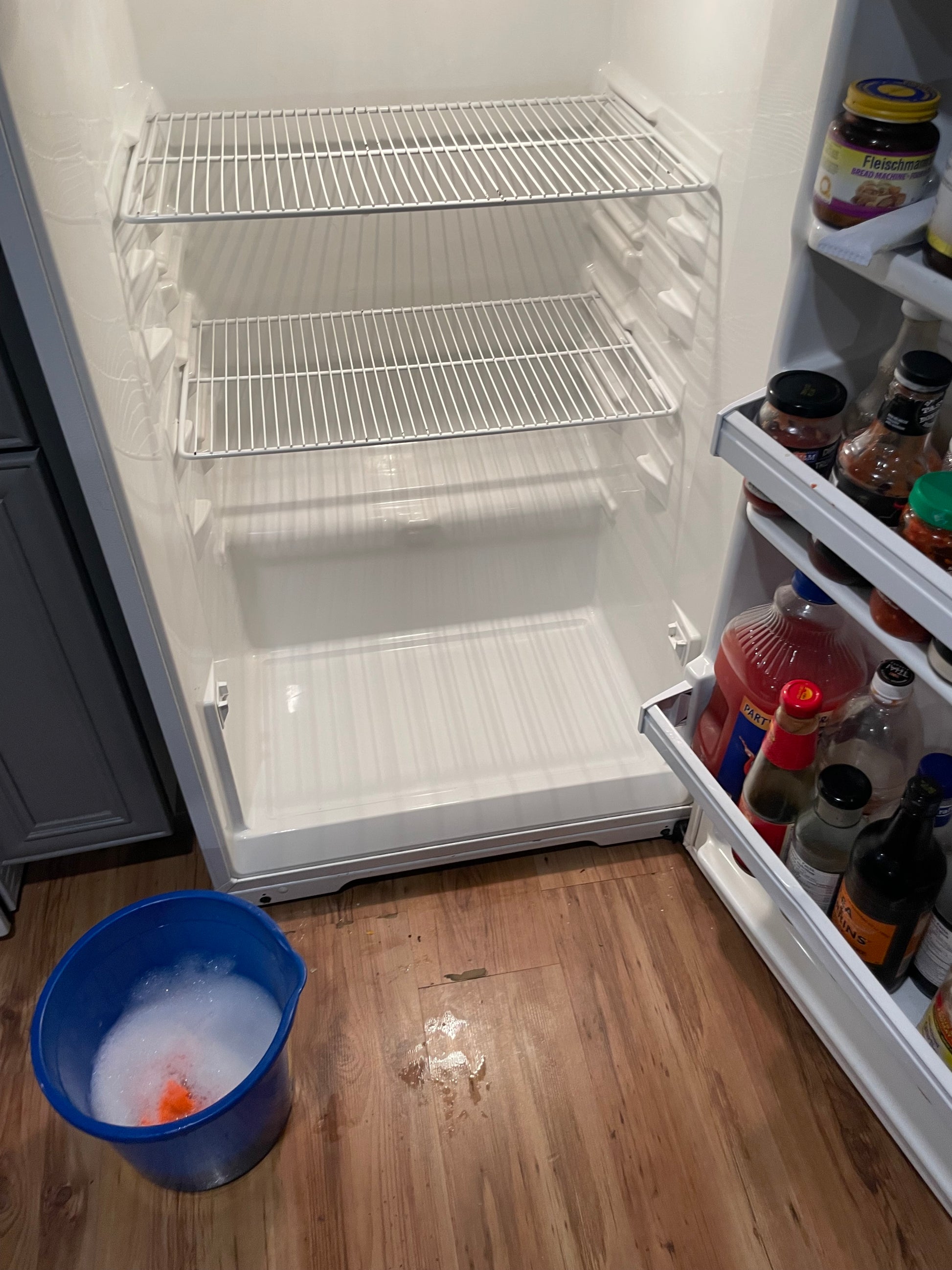 We see a laminate wood floor with a mop bucket that has soap suds in it and an open fridge, the interior of which has just been cleaned and so it is free of grime and stains.